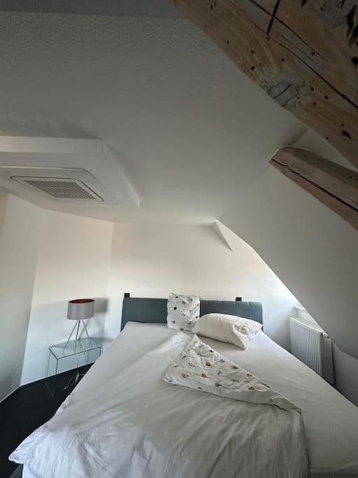Panorama Penthouse In Wunderschoener Villa Kassel Exteriör bild
