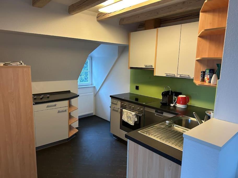 Panorama Penthouse In Wunderschoener Villa Kassel Exteriör bild